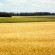 Tierra en Uruguay