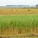 Impuesto a la Tierra en Uruguay Tributo a la Tierra en Uruguay