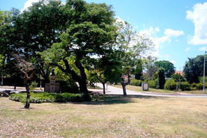 1030 Casas para Reformar en Carrasco